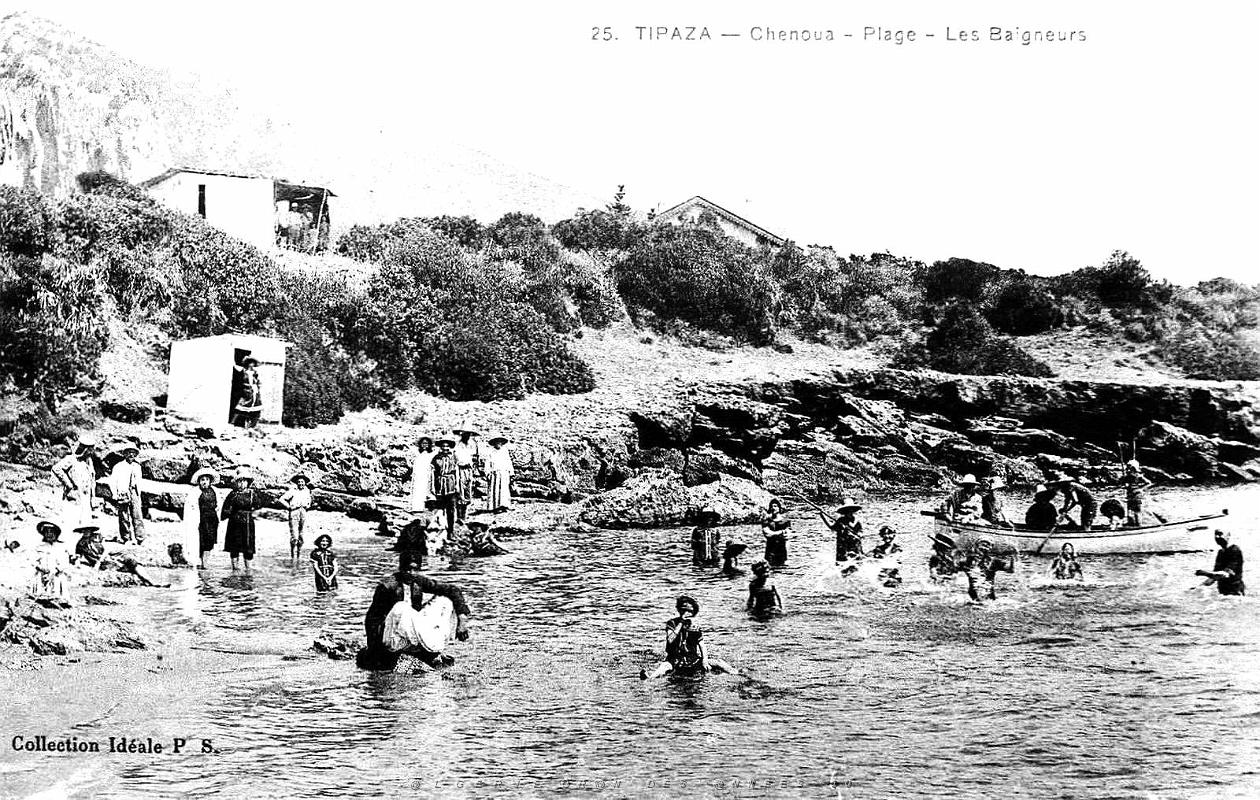1501- Chenoua -Plage - Baigneurs.jpg